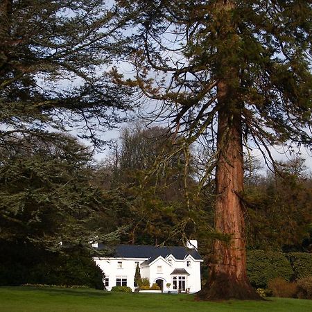 Ynyshir Restaurant And Rooms Machynlleth Esterno foto